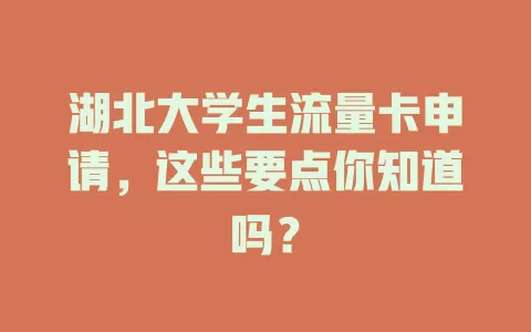 湖北大学生流量卡申请，这些要点你知道吗？