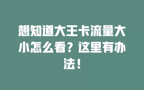 想知道大王卡流量大小怎么看？这里有办法！