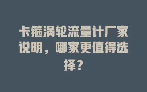 卡箍涡轮流量计厂家说明，哪家更值得选择？