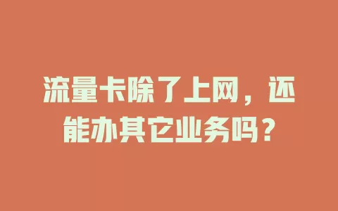 流量卡除了上网，还能办其它业务吗？