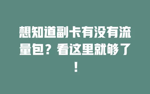 想知道副卡有没有流量包？看这里就够了！