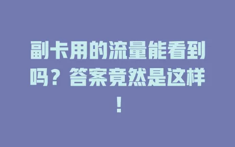 副卡用的流量能看到吗？答案竟然是这样！