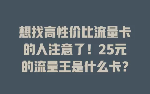 想找高性价比流量卡的人注意了！25元的流量王是什么卡？