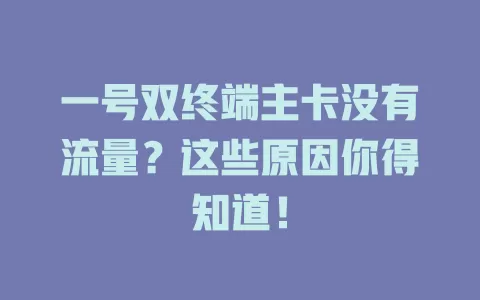 一号双终端主卡没有流量？这些原因你得知道！