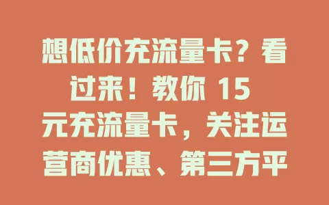 想低价充流量卡？看过来！教你 15 元充流量卡，关注运营商优惠、第三方平台折扣，巧用套餐组合与积分兑换，多留意信息就能省费用！