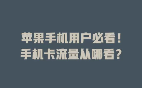苹果手机用户必看！手机卡流量从哪看？