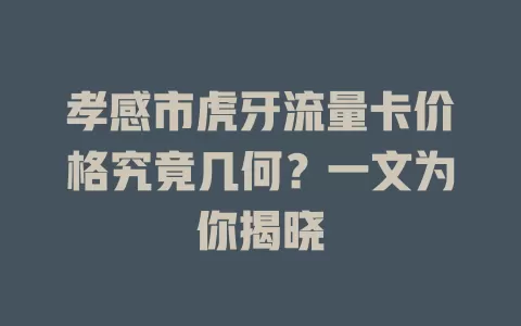 孝感市虎牙流量卡价格究竟几何？一文为你揭晓