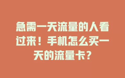 急需一天流量的人看过来！手机怎么买一天的流量卡？