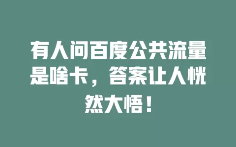 有人问百度公共流量是啥卡，答案让人恍然大悟！