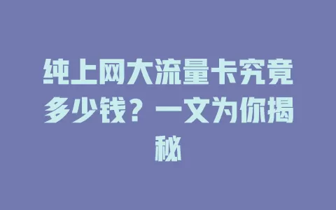 纯上网大流量卡究竟多少钱？一文为你揭秘