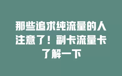 那些追求纯流量的人注意了！副卡流量卡了解一下