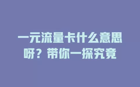 一元流量卡什么意思呀？带你一探究竟