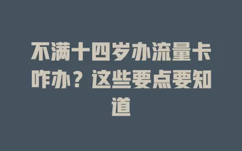 不满十四岁办流量卡咋办？这些要点要知道