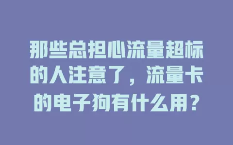 那些总担心流量超标的人注意了，流量卡的电子狗有什么用？