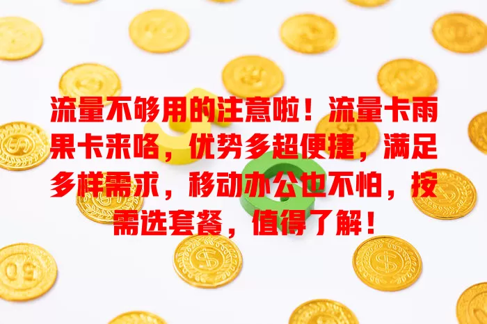 流量不够用的注意啦！流量卡雨果卡来咯，优势多超便捷，满足多样需求，移动办公也不怕，按需选套餐，值得了解！