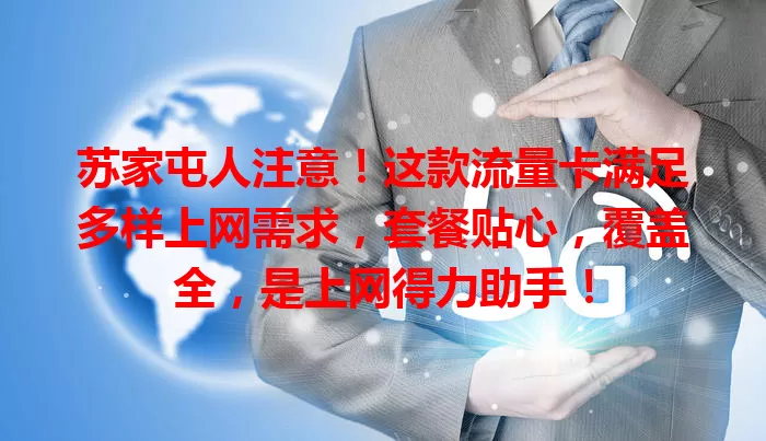 苏家屯人注意！这款流量卡满足多样上网需求，套餐贴心，覆盖全，是上网得力助手！