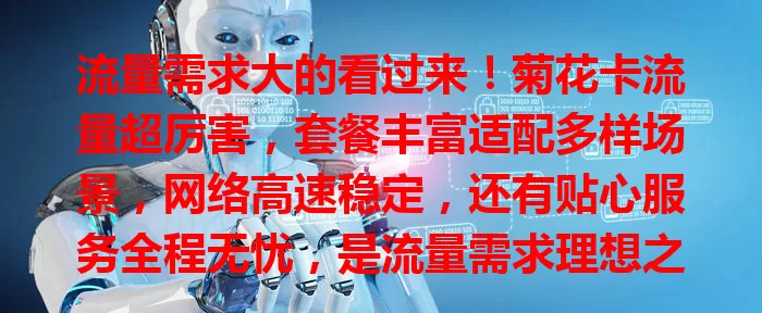 流量需求大的看过来！菊花卡流量超厉害，套餐丰富适配多样场景，网络高速稳定，还有贴心服务全程无忧，是流量需求理想之选
