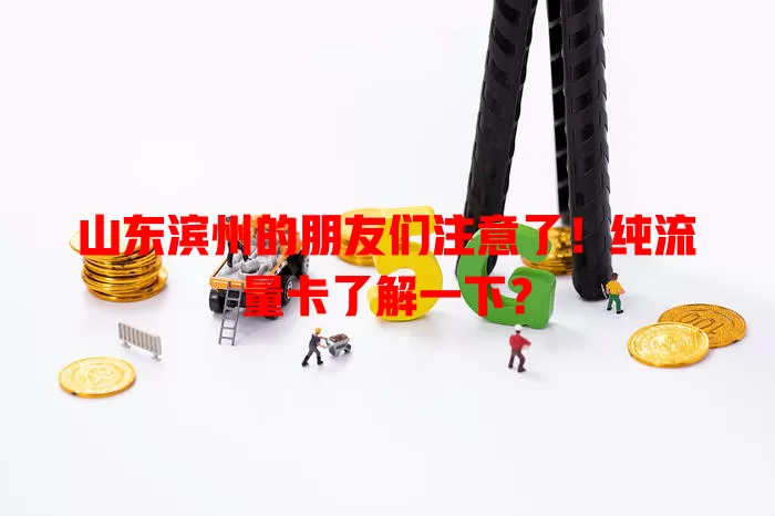 山东滨州的朋友们注意了！纯流量卡了解一下？