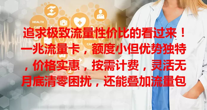 追求极致流量性价比的看过来！一兆流量卡，额度小但优势独特，价格实惠，按需计费，灵活无月底清零困扰，还能叠加流量包。选卡留意有效期等，不同运营商有差异，综合比较，是节制流量用户的经济之选