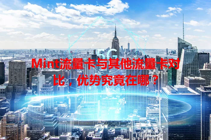 Mint流量卡与其他流量卡对比，优势究竟在哪？