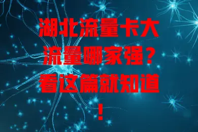 湖北流量卡大流量哪家强？看这篇就知道！