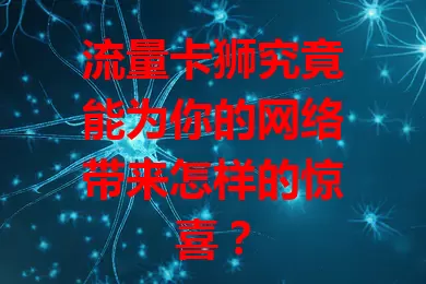 流量卡狮究竟能为你的网络带来怎样的惊喜？