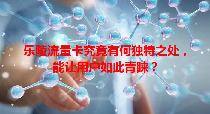 乐陵流量卡究竟有何独特之处，能让用户如此青睐？