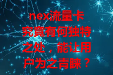 nex流量卡究竟有何独特之处，能让用户为之青睐？