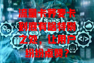 流量卡荞麦卡到底有啥特别之处，让用户纷纷点赞？