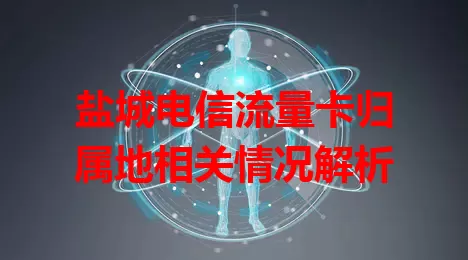 盐城电信流量卡归属地相关情况解析
