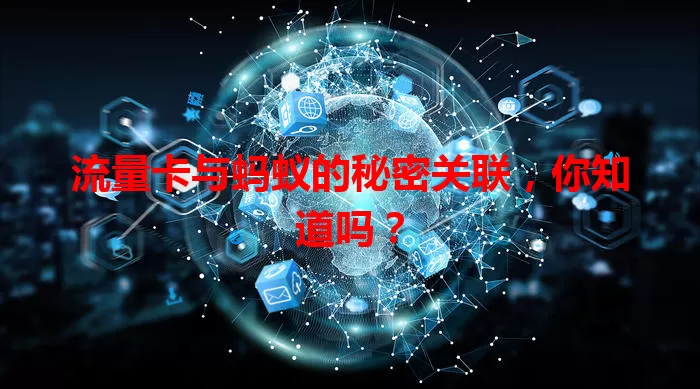 流量卡与蚂蚁的秘密关联，你知道吗？