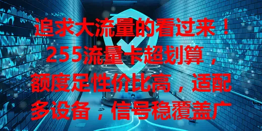 追求大流量的看过来！255流量卡超划算，额度足性价比高，适配多设备，信号稳覆盖广，上网超便捷，告别流量烦恼