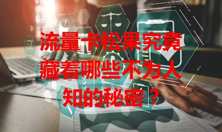 流量卡松果究竟藏着哪些不为人知的秘密？