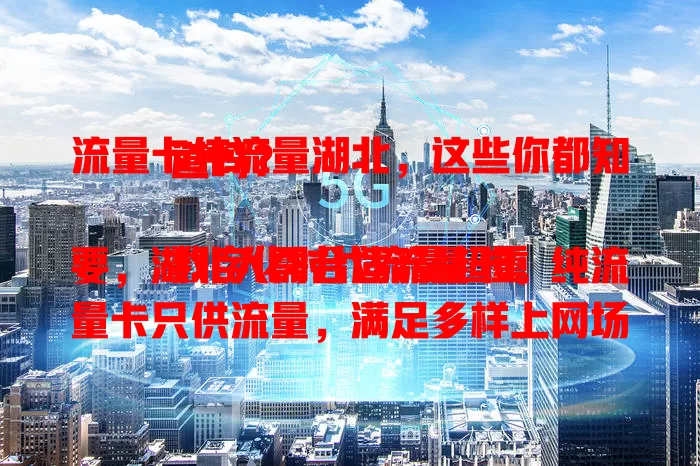 流量卡纯流量湖北，这些你都知道吗？

数字化时代流量超重要，湖北人需合适流量卡。纯流量卡只供流量，满足多样上网场景，高速稳定不卡顿。选卡要谨慎，关注有效期、性价比等。流量卡纯流量湖北，值得深入了解！