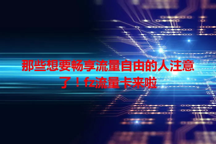 那些想要畅享流量自由的人注意了！fz流量卡来啦