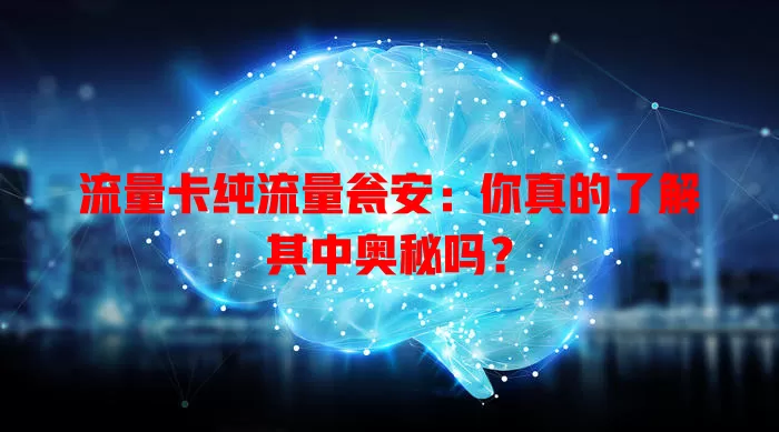 流量卡纯流量瓮安：你真的了解其中奥秘吗？