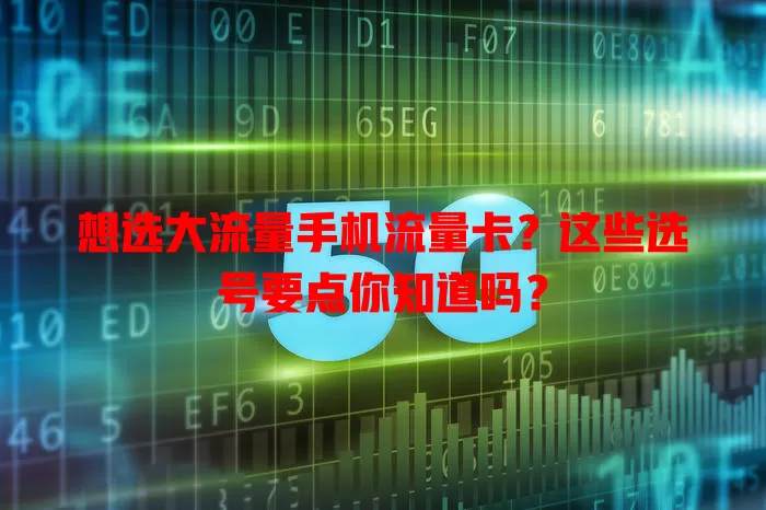 想选大流量手机流量卡？这些选号要点你知道吗？