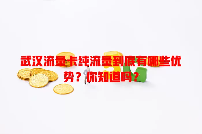 武汉流量卡纯流量到底有哪些优势？你知道吗？