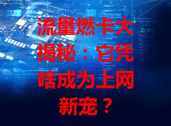流量燃卡大揭秘：它凭啥成为上网新宠？