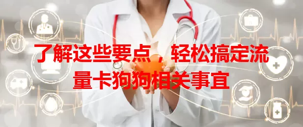 了解这些要点，轻松搞定流量卡狗狗相关事宜