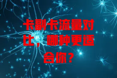 卡副卡流量对比，哪种更适合你？