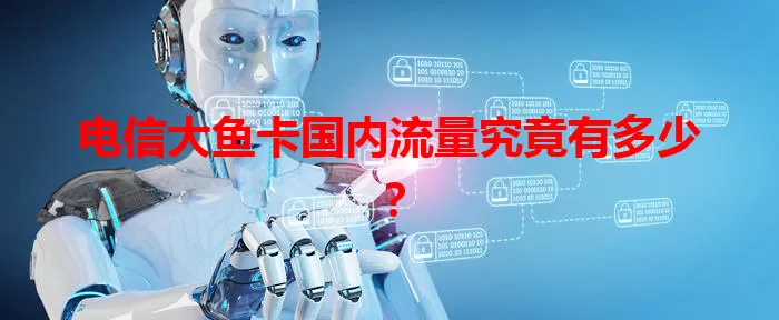 电信大鱼卡国内流量究竟有多少？