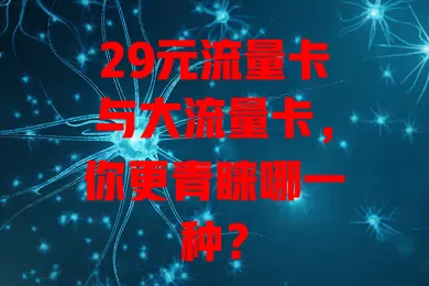29元流量卡与大流量卡，你更青睐哪一种？