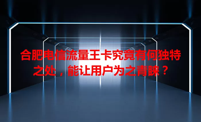 合肥电信流量王卡究竟有何独特之处，能让用户为之青睐？