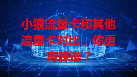 小狼流量卡和其他流量卡对比，你更青睐谁？