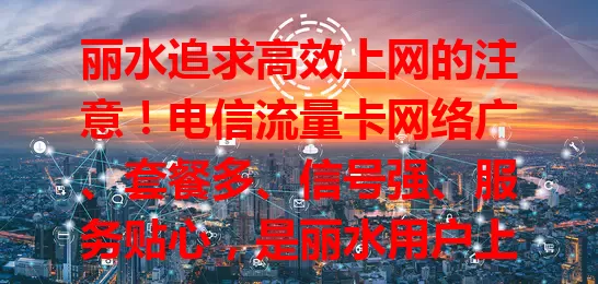 丽水追求高效上网的注意！电信流量卡网络广、套餐多、信号强、服务贴心，是丽水用户上网理想之选