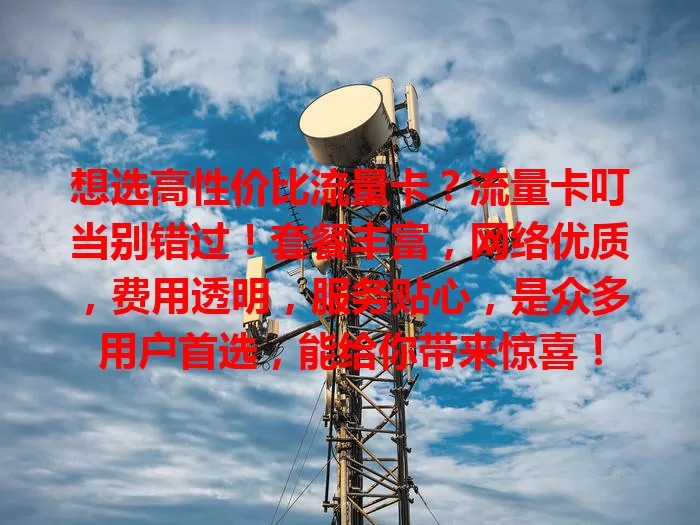 想选高性价比流量卡？流量卡叮当别错过！套餐丰富，网络优质，费用透明，服务贴心，是众多用户首选，能给你带来惊喜！