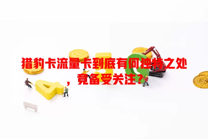 猎豹卡流量卡到底有何独特之处，竟备受关注？