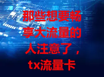 那些想要畅享大流量的人注意了，tx流量卡超划算！