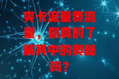 爽卡流量费流量，你真的了解其中的奥秘吗？
